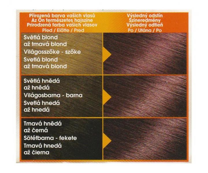 Permanentn farba Garnier Color Naturals 3.61 ernicov erven