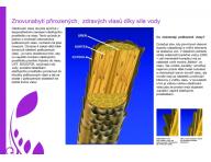 Fox life booster multifunkn oznov ionizan sauna - bazr
