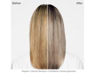 Tnujci balzam Biolage Color Balm - Earl Grey, 250 ml