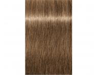 Farba na vlasy Schwarzkopf Professional Igora Royal 60 ml - 8-00 svetl blond prrodn extra