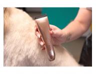 Profesion�lny stroj�ek na srs� Wahl Motiva 2 3028118 - bronzov�