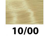 Farba na vlasy Subrina Professional Permanent Colour 100 ml - 10/00 najsv. blond - chladn prrodn