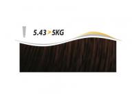 Artgo Krmov farba ITS Color 150 ml - medeno-zlat odtiene