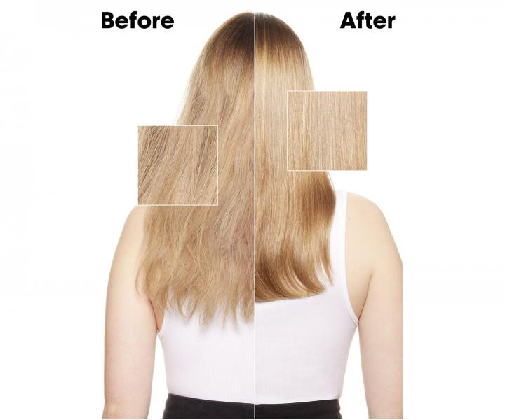 Rad pre such� a po�koden� vlasy L�Or�al Professionnel Serie Expert Absolut Repair