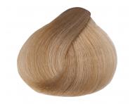 Farba na vlasy Selective Professional ColorEvo Beyond Color 100 ml - 10.2 b�ov� extra svetl� blond