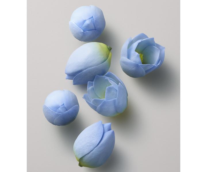 Darekov sada pre zvenie objemu vlasov Kerasilk Volumizing + nramok zadarmo