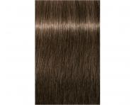 Farba na vlasy Schwarzkopf Professional Igora Royal 60 ml - 6-00 prrodn tmav blond extra