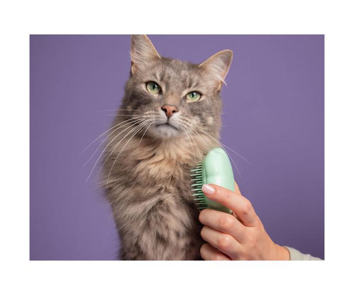Kefa na vyesvanie maacej srsti Pet Teezer Cat Grooming Brush - mentolov
