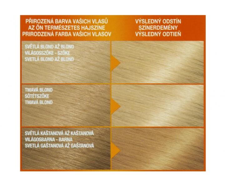 Permanentn farba Garnier Color Naturals 10 ultra blond