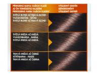 Permanentn� farba Garnier Color Naturals 5.23 iskriv� hned�