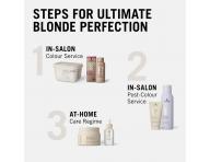 Zosvet�uj�ci p�der Schwarzkopf Professional Blond Premium Lightener 9+ - 450 g