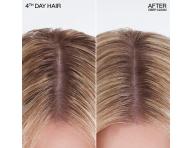 H�bkovo �istiaci such� �amp�n Redken Deep Clean Dry Shampoo - 155 ml