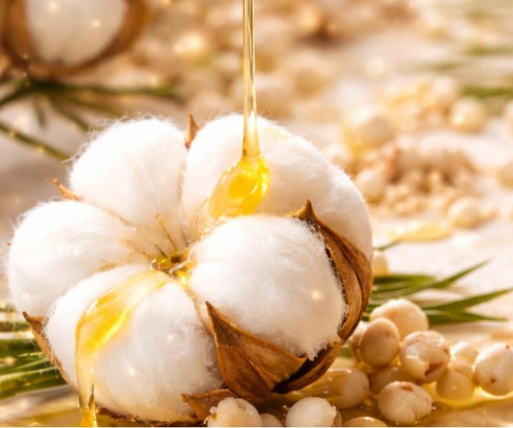 Revitaliza�n� bezoplachov� kr�m pre such� a po�koden� vlasy Kl�ral System Retinoil Revitalising Absolute Fluid - 100 ml