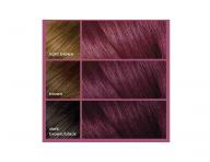 Permanentn farba na vlasy Loral Colorist Permanent Gel Violet - fialov
