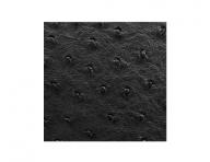 Kaderncky umvac box Hairway Jazz - ierny(A24)/ierna misa - odreniny glazry, bez prsluenstva