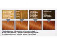Permanentn farba Loral Colorista Paint 7.40 Copper Blonde - meden