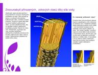 Multifunk�n� oz�nov� ioniza�n� sauna na vlasy Fox Life Booster