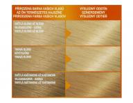 Permanentn farba Garnier Color Naturals 10 ultra blond