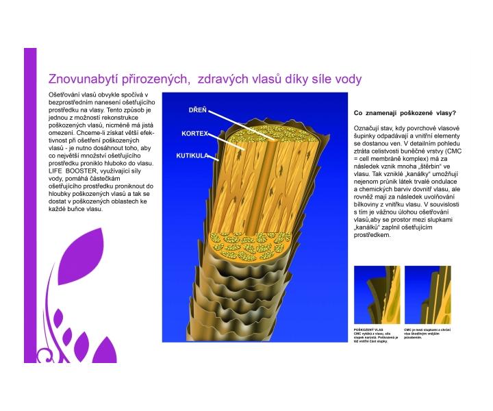 Fox life booster multifunkn oznov ionizan sauna - bazr