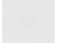 Regeneran olej pre such a pokoden vlasy Paul Mitchell Awapuhi Wild Ginger Style