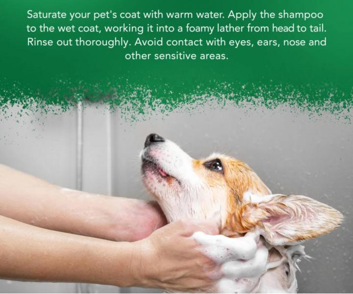 Upokojuj�ci �amp�n pre citliv� zvieraciu poko�ku Wahl Professional Animal Shampoo Aloe Soothe - 500 ml