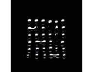 Intenzvna kra proti padaniu vlasov Loral Professionnel Aminexil Advanced - 42 x 6 ml