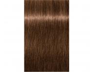 Farba na vlasy Schwarzkopf Professional Igora Royal 60 ml - 6-65 tmav blond okoldov zlat