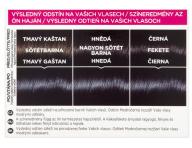 Preliv bez amoniaku Loral Casting Crme Gloss - 210 modro-ierna