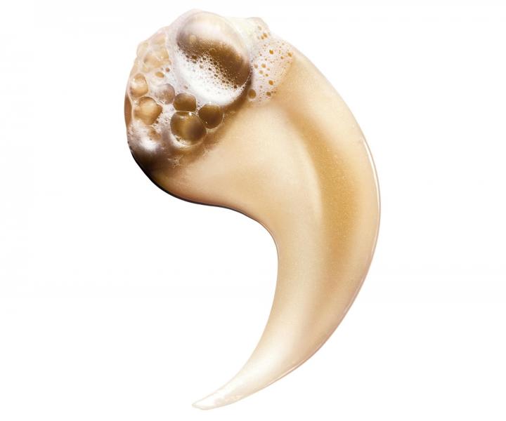 Rad pre such a pokoden vlasy LOral Professionnel Serie Expert Absolut Repair