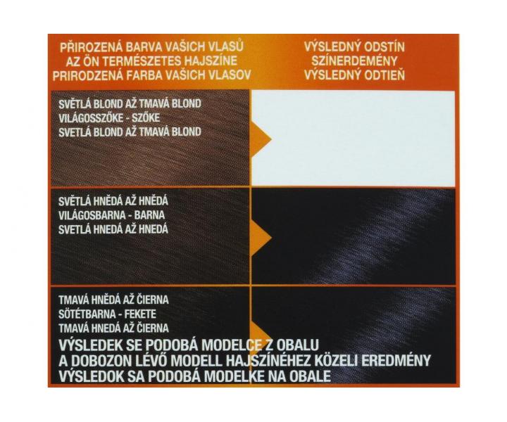 Permanentn farba Garnier Color Naturals 2.10 modroierna