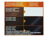 Permanentn farba Garnier Color Naturals 2.10 modroierna