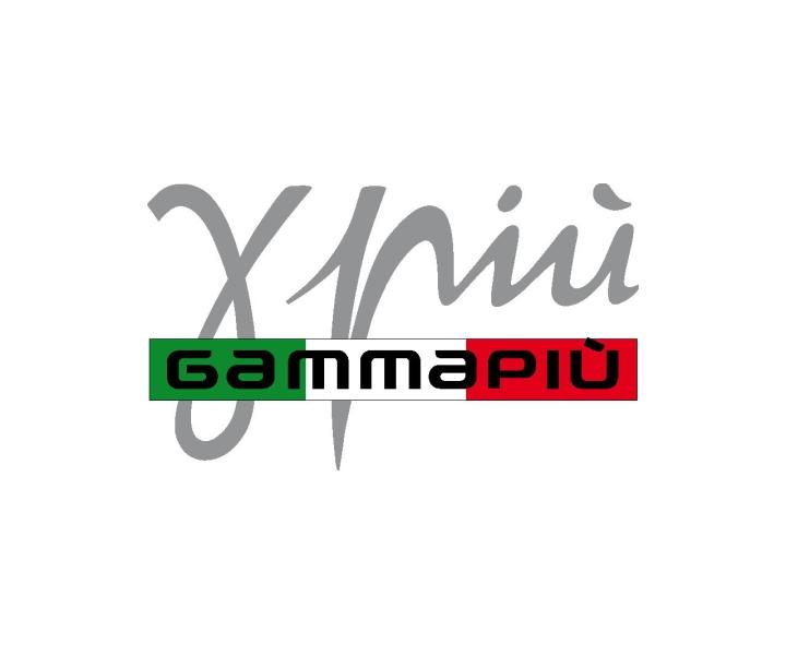 Profesion�lny f�n Gamma Piu STYLE 10