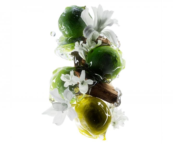 Rad pre farben a pokoden vlasy LOral Professionnel Serie Expert Metal Detox