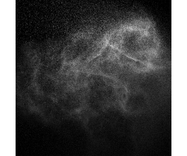 Va na vlasy Neqi Hair Perfume The Wooden - 75 ml