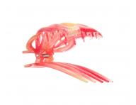 �kripec do vlasov Invisibobble Clipstar Coral Hug - koralov�