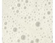 Paul Mitchell Scalp Care ampn