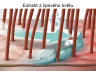 ampn pre citliv pokoku Goldwell Dualsenses Scalp Specialist - 250 ml