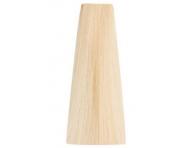 Farba na vlasy Inebrya Bionic 100 ml - 10/3E extra zlat platinov blond