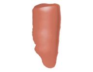 Tekut matn r na pery Loral Paris Lip Paint Matte - 209 - Nude On Fleek