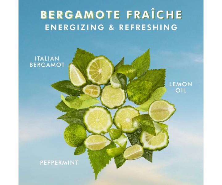 Hydrata�n� telov� mlieko Moroccanoil Body Lotion Bergamote Fraiche - citrusy a m�ta, 360 ml