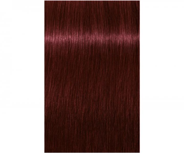 Farba na vlasy Schwarzkopf Professional Igora Royal 60 ml - 4-88 stredne hned extra erven