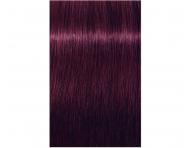 Farba na vlasy Schwarzkopf Professional Igora Royal 60 ml - 6-99 tmav blond fialov extra