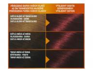 Permanentn� farba Garnier Color Naturals 460 rub�novo �erven�