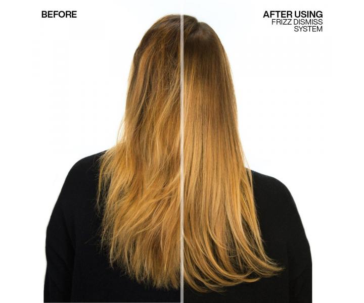 Rad pre krepat a nepoddajn vlasy Redken Frizz Dismiss