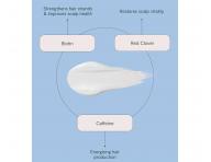 Rad pre mastn� poko�ku hlavy a jemn� vlasy ROH The Purify & Plump