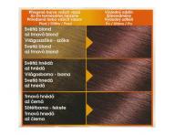 Permanentn farba Garnier Color Naturals 3.61 ernicov erven