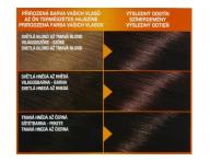Permanentn farba Garnier Color Naturals 5.25 oplov mahagnov