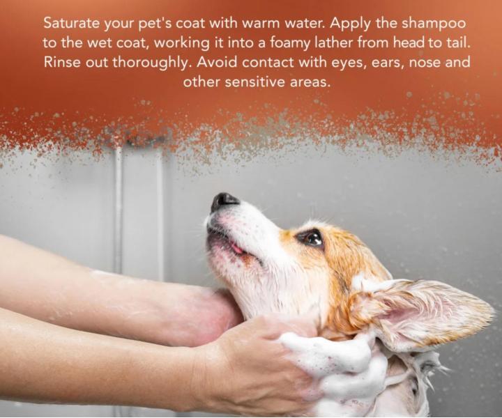 H�bkovo �istiaci �amp�n pre silne zne�isten� zvieraciu srs� Wahl Professional Animal Shampoo Dirty Beastie - 500 ml