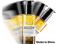 Rad pre pokoden vlasy Loral Professionnel Serie Expert Absolut Repair Molecular