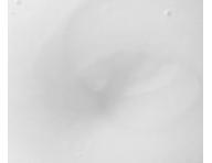 Maska na objem jemnch vlasov Paul Mitchell Tea Tree Lemon Sage Thickening Treatment - 150 ml